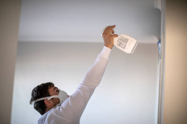 Best Water Damage Restoration  in Bonner West Riverside, MT